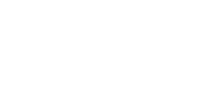 velsis2